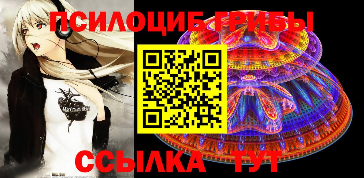 Галлюциногенные грибы Psilocybe Каменск-Уральский